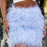 Day Dream | Powder Blue Feather Mini Skirt